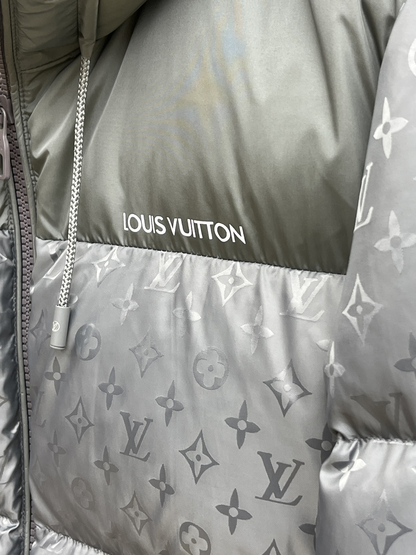 Louis Vuitton Down Jackets